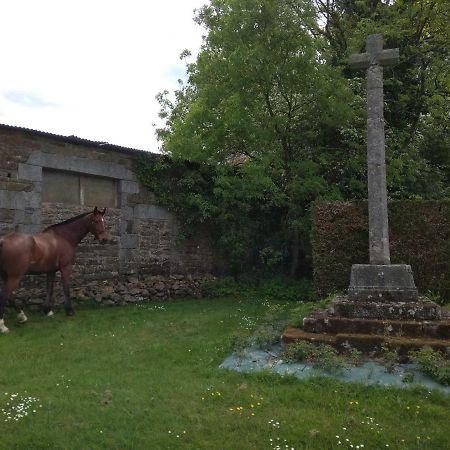 Saint-Sauveur-de-Carrouges Haras De La Croix D'Argent B&B 외부 사진