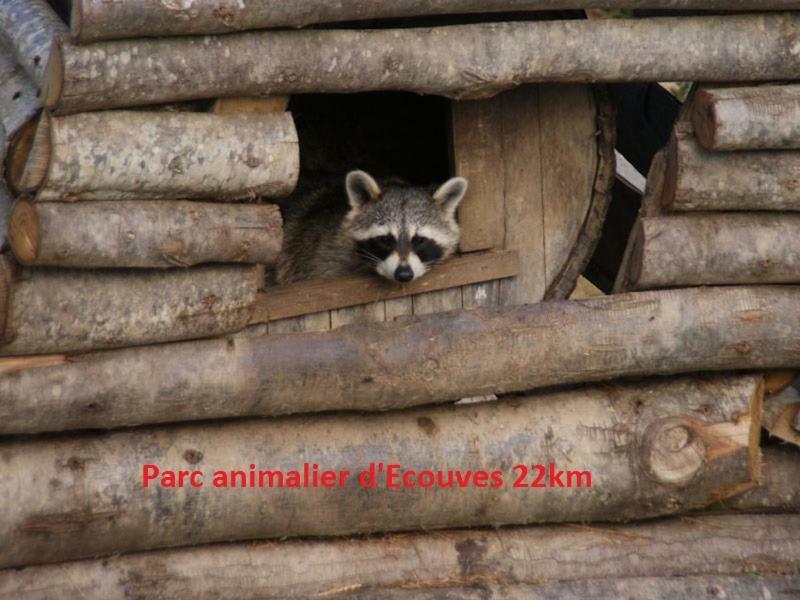 Saint-Sauveur-de-Carrouges Haras De La Croix D'Argent B&B 외부 사진