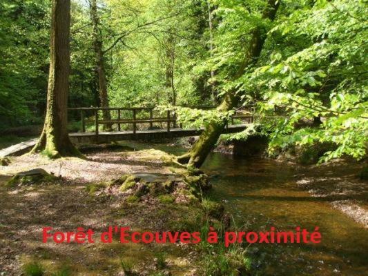 Saint-Sauveur-de-Carrouges Haras De La Croix D'Argent B&B 외부 사진